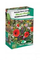 Mélange fleurs sauvages Maxi-Pack