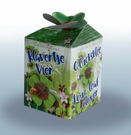 Greengift Trefle a quatre feuilles