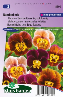 Violette cornue, Bambini mix - Graines de fleurs bisannuelles - Produits -  Grainesdehollande.fr