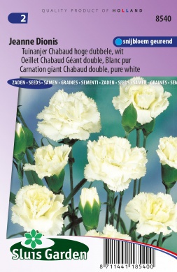 OEILLET des FLEURISTES CHABAUD DOUBLE STRIPED