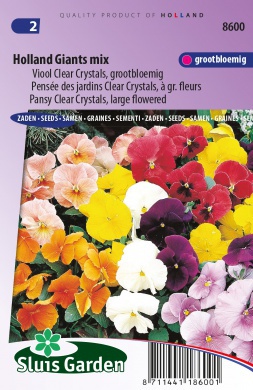 Pensée des jardins Clear Crystals, Holland Giants mix
