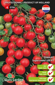 Tomate Supersweet 100 F1