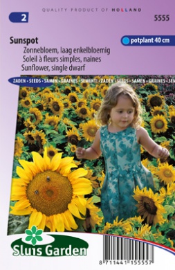 Choux - graines - Tournesol - 100 grammes - Helianthus annuus – Garden  Seeds Market