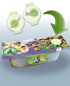 Kit Violette comestible tricolore Graines Biologiques