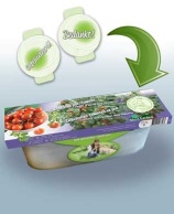 Kit Tomate Siderno F1 (pot)