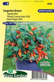 Piment à saveur douce Tangerina Dream (pot)