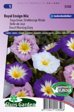Belle de Jour Royal Ensign mix - Graines de fleurs annuelles - Produits -  Grainesdehollande.fr