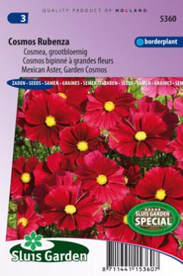 Cosmos bipinné à grandes fleurs Rubenza (Fleuroselect Novelty) - Graines de fleurs  annuelles - Produits - Grainesdehollande.fr