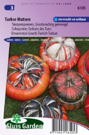 Cucurbita Coloquintes Turban des Turcs