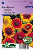 Gaillarde vivace Mix