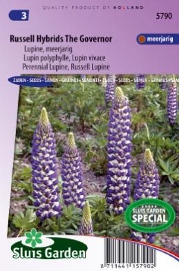 Johnsons graines-paquet pictural-fleur-Lupin Mélange Russell 60 graines