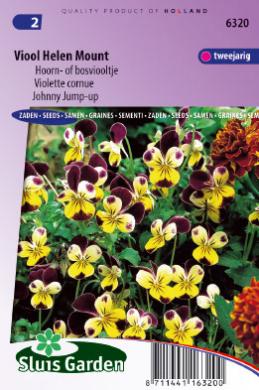 Violette cornue Helen Mount - Graines de fleurs bisannuelles - Produits -  Grainesdehollande.fr