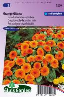 Souci double de Jardins Orange Gitana