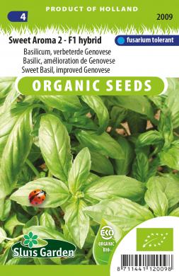 Basilicum, amélioration de Genovese, Sweet Aroma 2 - F1 hybrid